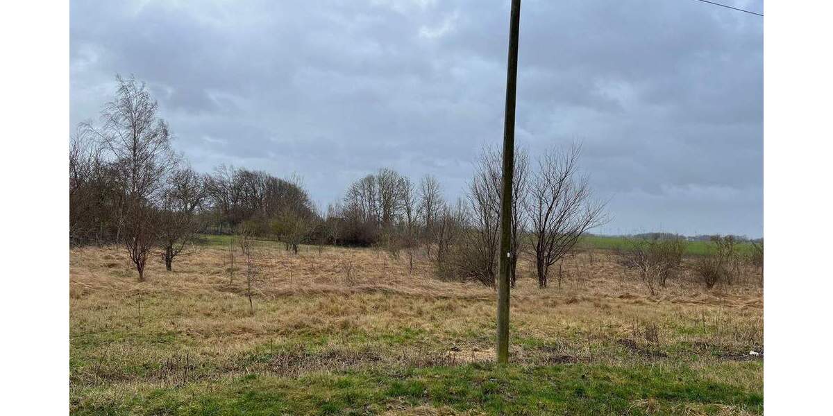 Grundstück Gribow Glödenhof - 12.000&euro; | Angebot:25896445