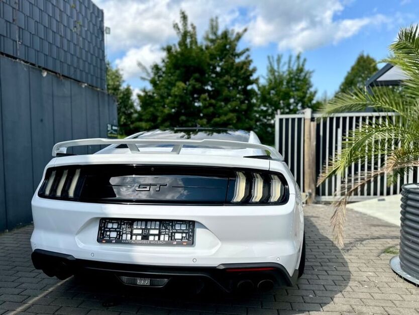 Mustang