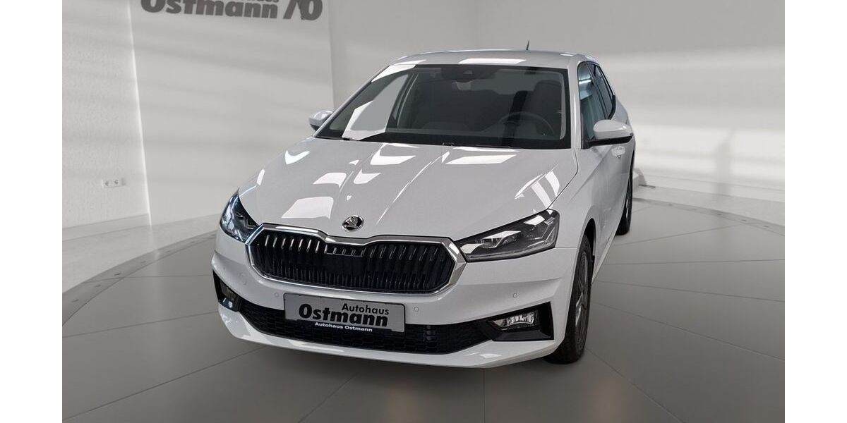 Skoda Fabia 4.900 km 26.189 &euro; Wolfhagen 34466