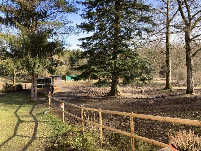 Einfamilienhaus Hellenthal Grube Wohlfahrt - 8 Zimmer, 174 m&sup2;, 629.000&euro; | Angebot:24918071