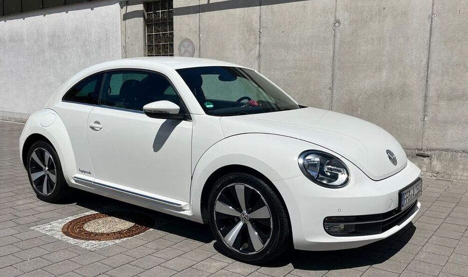 Beetle
