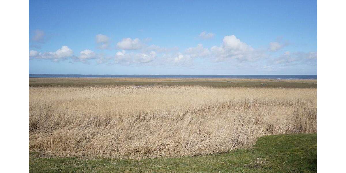 Etagenwohnung Sylt Morsum - 2 Zimmer, 43 m&sup2;, 425.000&euro; | Angebot:25645687