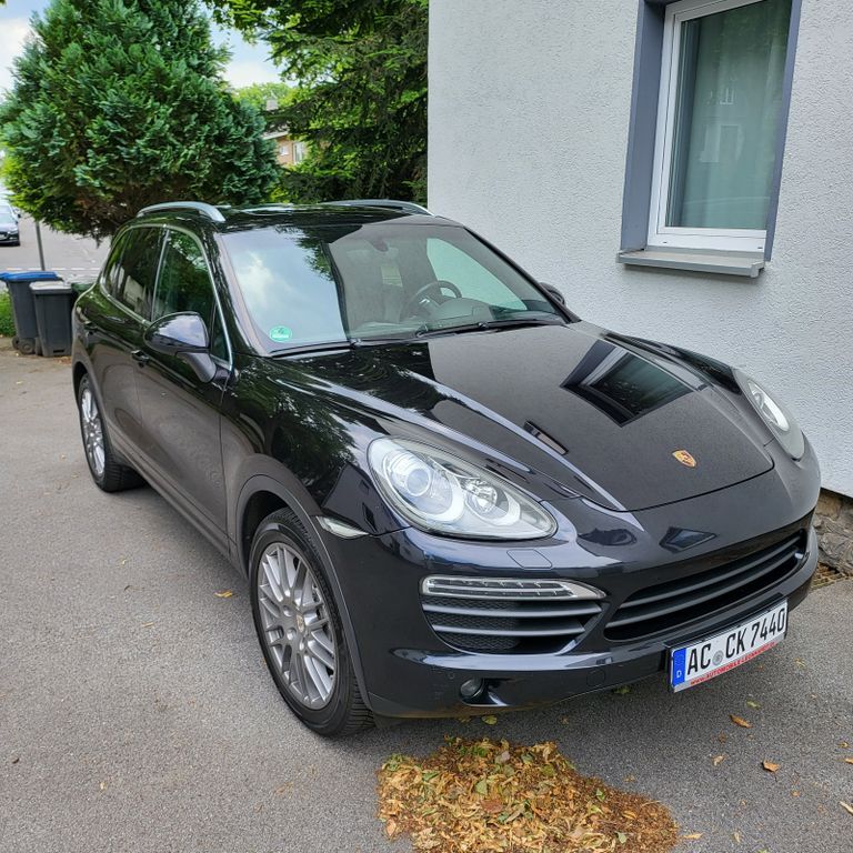 Cayenne