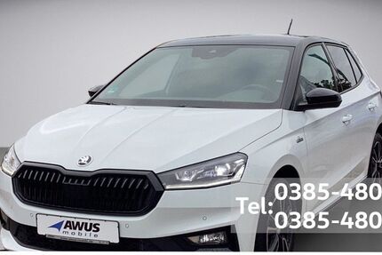 Skoda Fabia 12.500 km 24.990 &euro; Schwerin 19057