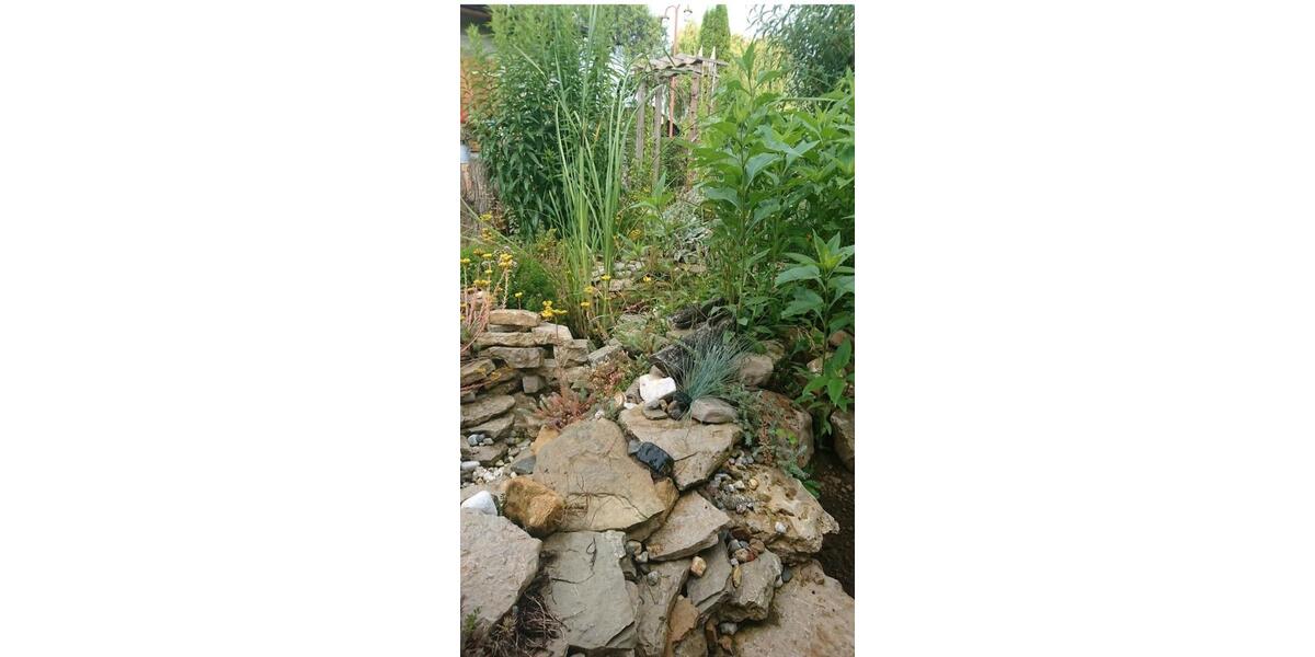 Grundstück Mühlhausen (Thüringen) - 3.200&euro; | Angebot:25578363