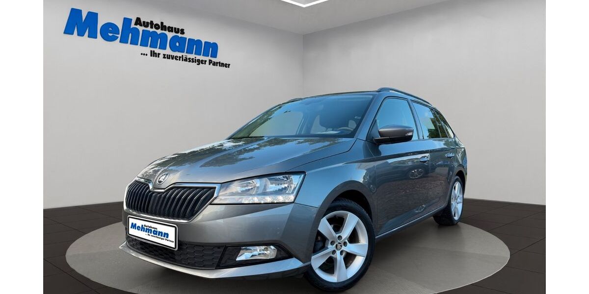 Skoda Fabia 59.522 km 16.900 &euro; Berge 49626