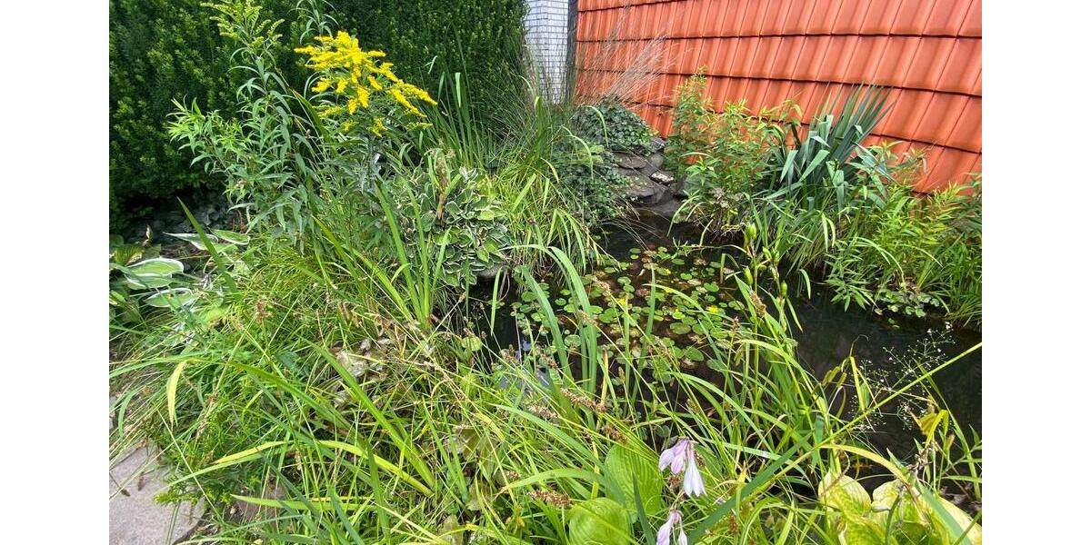 Doppelhaushälfte Braunschweig Timmerlah-Geitelde-Stiddien - 9 Zimmer, 185 m&sup2;, 329.000&euro; | Angebot:23013804