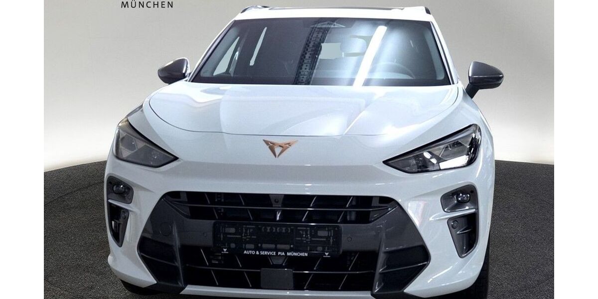 Cupra Terramar 6.800 km 47.960 &euro; München 80935