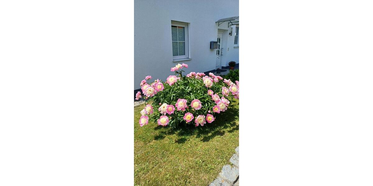 Doppelhaushälfte Reichertsheim - 4 Zimmer, 205 m&sup2;, 1.700&euro; | Angebot:26411151