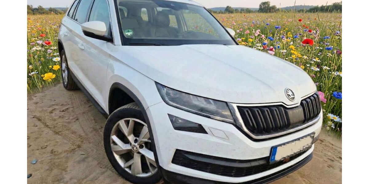 Skoda Kodiaq 185.000 km 19.900 &euro; Brandenburg an der Havel 14770