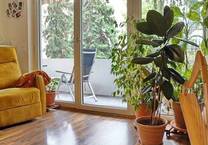 Beletage in Steinbühl! 3 Zimmer, Küche, frei ab August 25