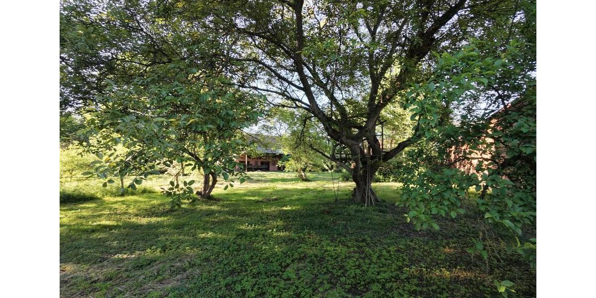 Bauernhaus, Landhaus Kalbe (Milde) - 8 Zimmer, 200 m&sup2;, 125.000&euro; | Angebot:26709365