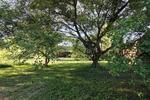 Bauernhaus, Landhaus Kalbe (Milde) - 8 Zimmer, 200 m&sup2;, 125.000&euro; | Angebot:26709365