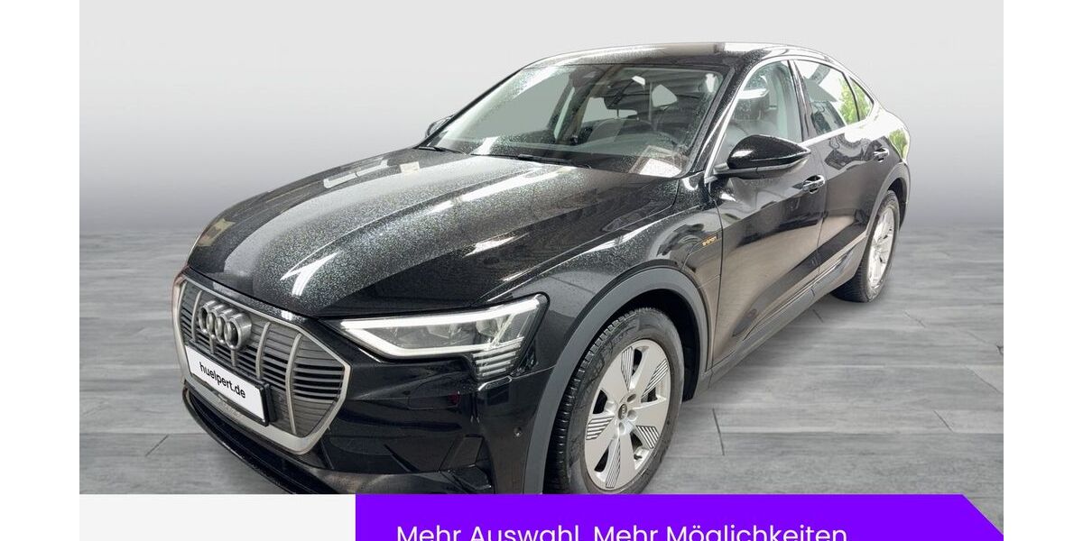 Audi e-tron 29.255 km 27.333 &euro; Dortmund 44143