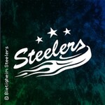 Bietigheim Steelers - EC Bad Nauheim