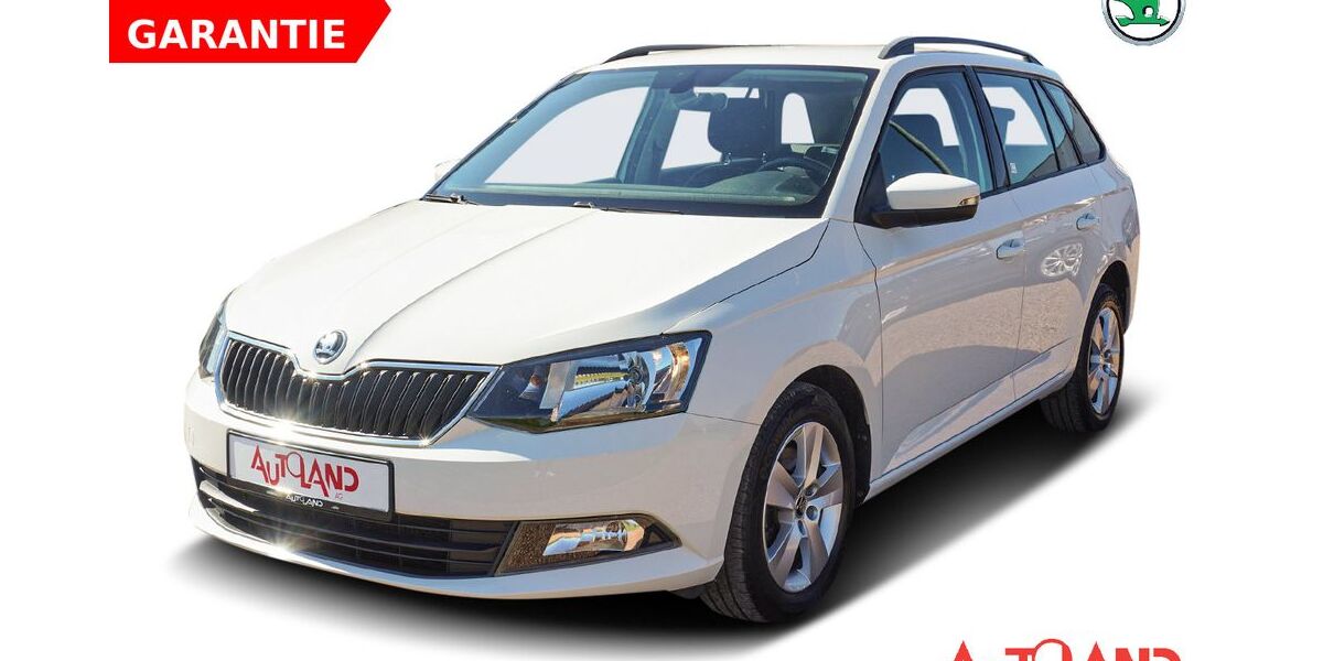 Skoda Fabia 87.250 km 13.990 &euro; Naumburg OT Schönburg 06618