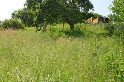 Grundstück Weilrod Gemünden - 49.000&euro; | Angebot:23947933