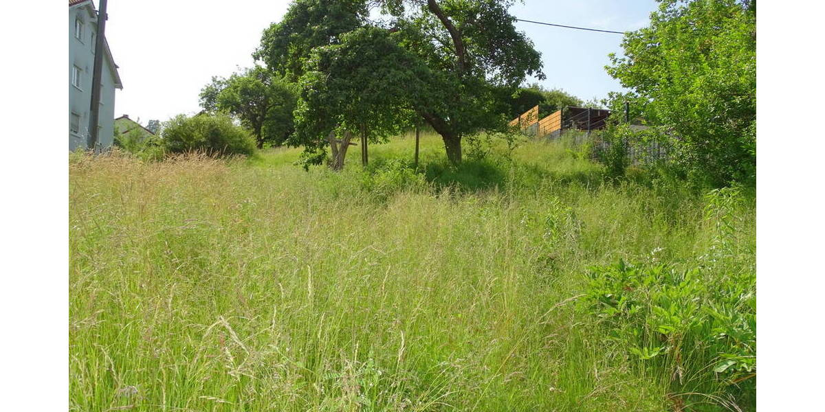 Grundstück Weilrod Gemünden - 49.000&euro; | Angebot:23947933