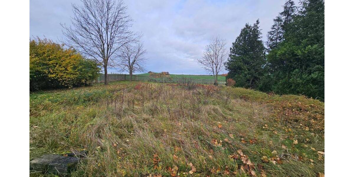 Gewerbeobjekt Grimma Mutzschen - 1.900.000&euro; | Angebot:25958961