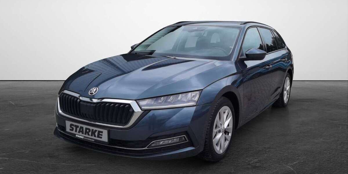 Skoda Octavia 120.887 km 18.990 &euro; Georgsmarienhütte 49124