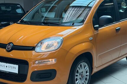 Fiat Panda 15.300 km 10.890 &euro; Mutterstadt 67112