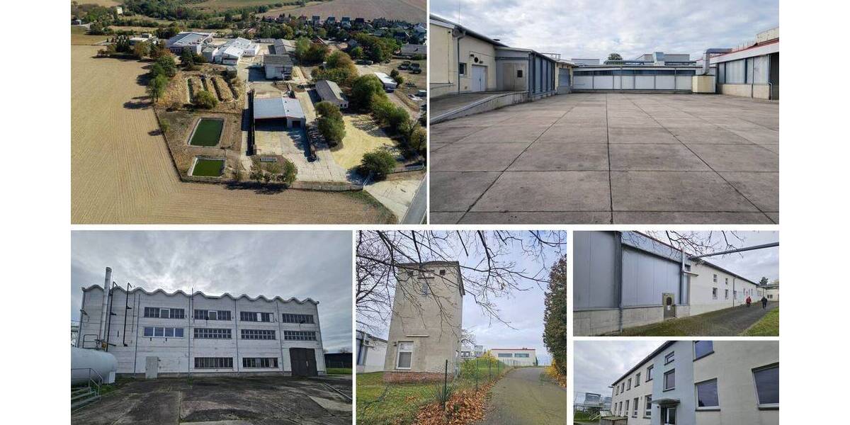 Gewerbeobjekt Grimma Mutzschen - 1.900.000&euro; | Angebot:25958961