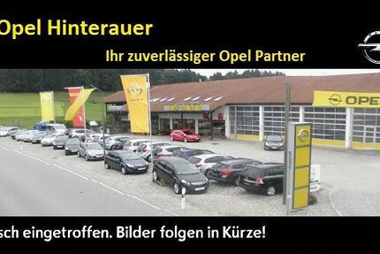Opel Grandland (X) 3.900 km 32.999 € Egling 82544