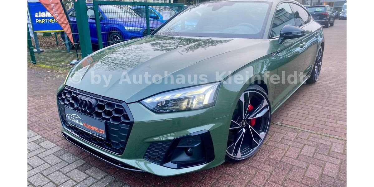 Audi A5 113.092 km 35.990 &euro; Borkheide 14822