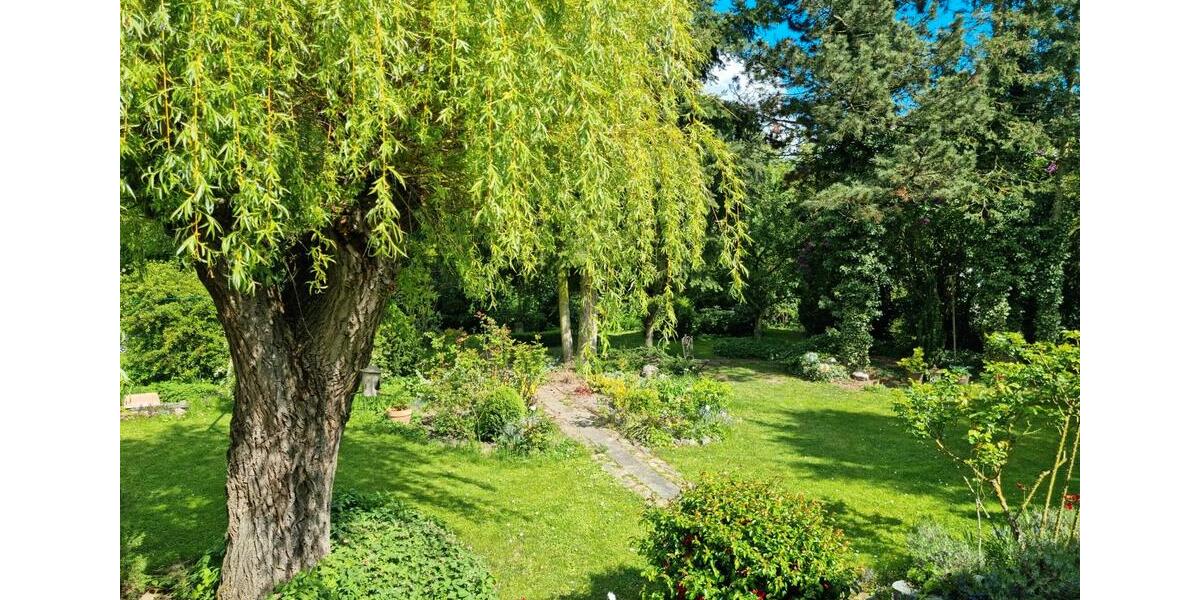 Einfamilienhaus Strasburg (Uckermark) - 4 Zimmer, 100 m&sup2;, 125.000&euro; | Angebot:26777789