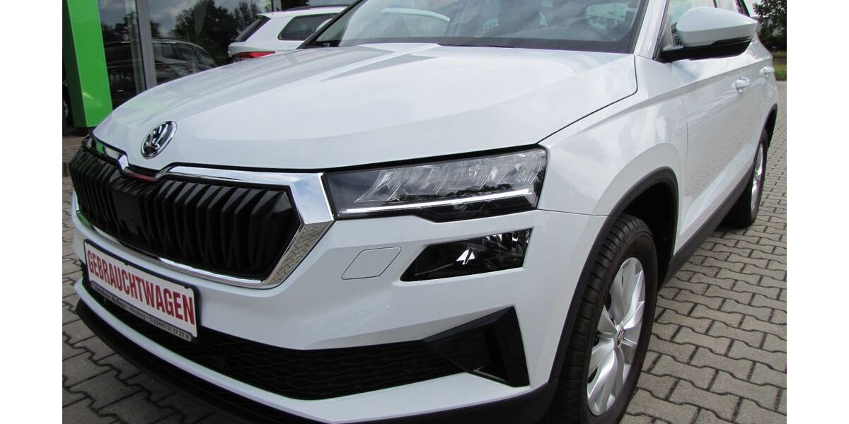 Skoda Karoq 29.500 km 29.990 &euro; Altenburg 04600