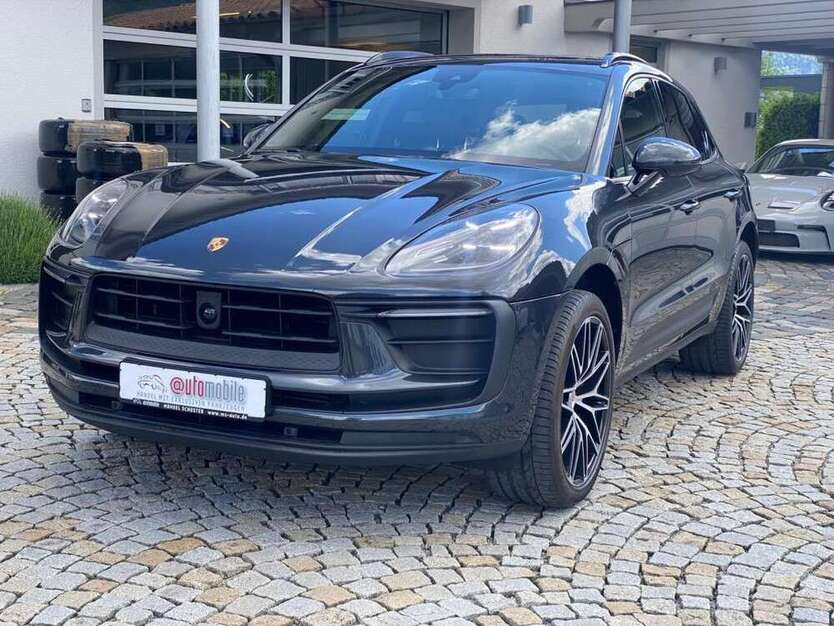 Macan