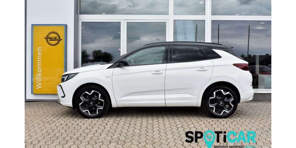 Opel Grandland X 18.340 km 27.350 &euro; Grafschaft-Ringen 53501