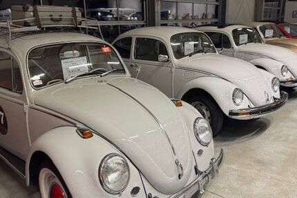 VW Käfer 77.600 km 16.990 &euro; Oderding 82398