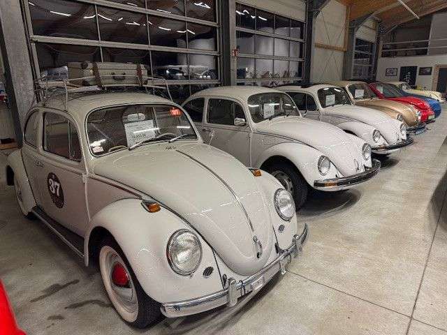 VW Käfer 77.600 km 16.990 &euro; Oderding 82398
