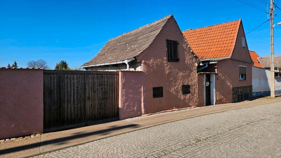 Einfamilienhaus mit Nebengelass