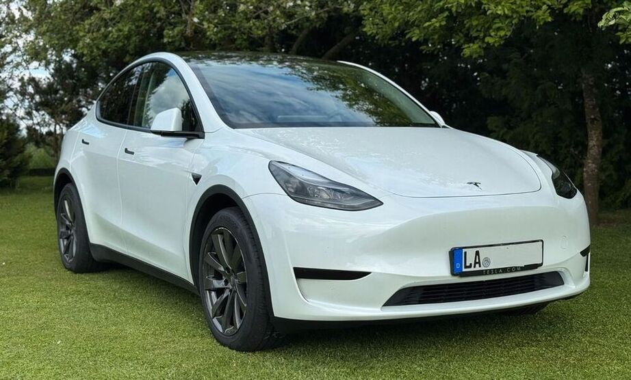 Model Y