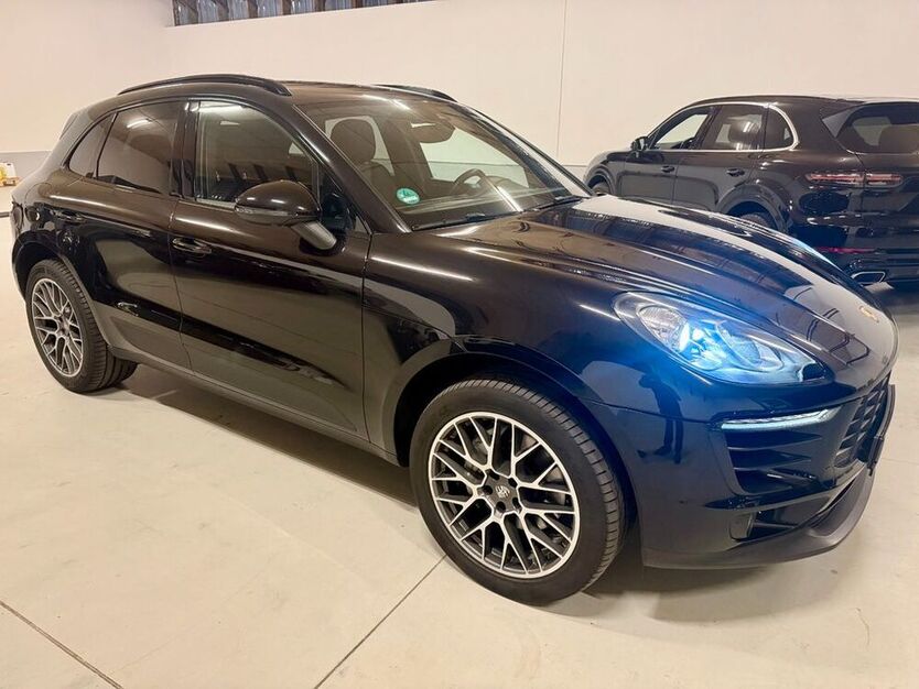 Macan