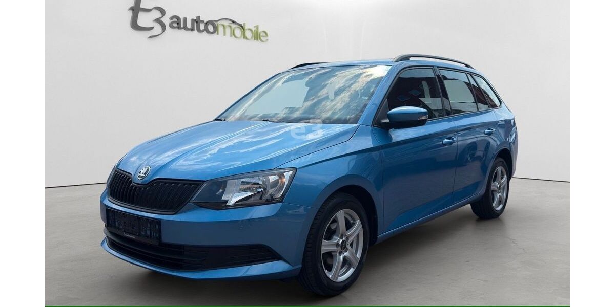 Skoda Fabia 114.619 km 8.890 &euro; Neuwied 56564