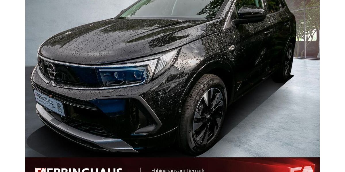 Opel Grandland (X) 45.419 km 20.999 &euro; Dortmund 44225