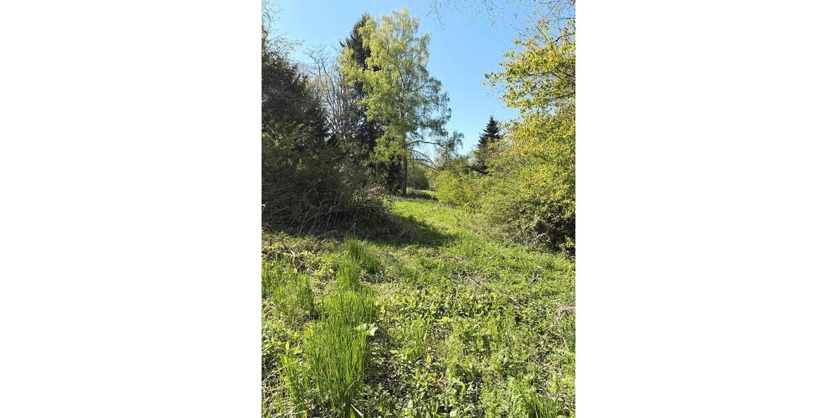 Grundstück Wuppertal Elberfeld - 150&euro; | Angebot:26313073
