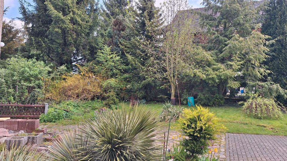 Einfamilienhaus Naumburg (Saale) - 9 Zimmer, 170 m&sup2;, 260.000&euro; | Angebot:26630153