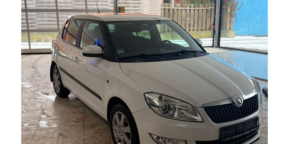 Skoda Fabia 120.000 km 7.699 &euro; Auetal 31749