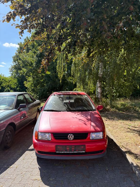 Polo