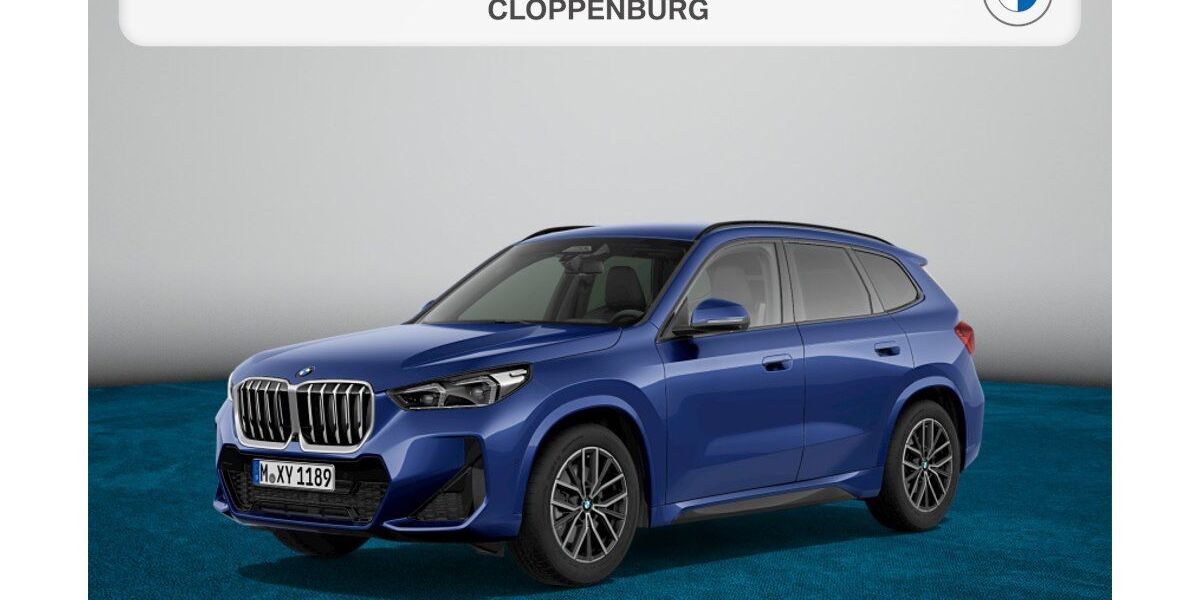 BMW X1 3.896 km 52.990 &euro; Bad Kreuznach 55543