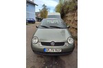 Lupo