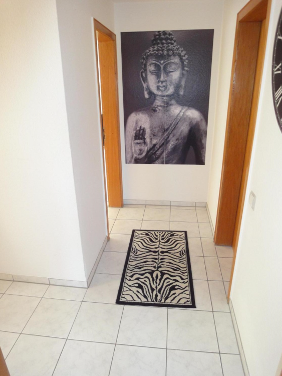 Wohnung zum Mieten in Meckenheim 490 € 52 m² 2 zimmer