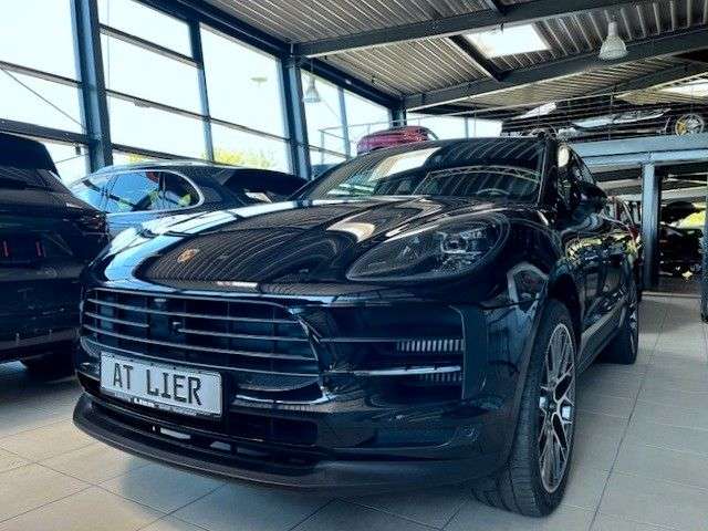 Macan