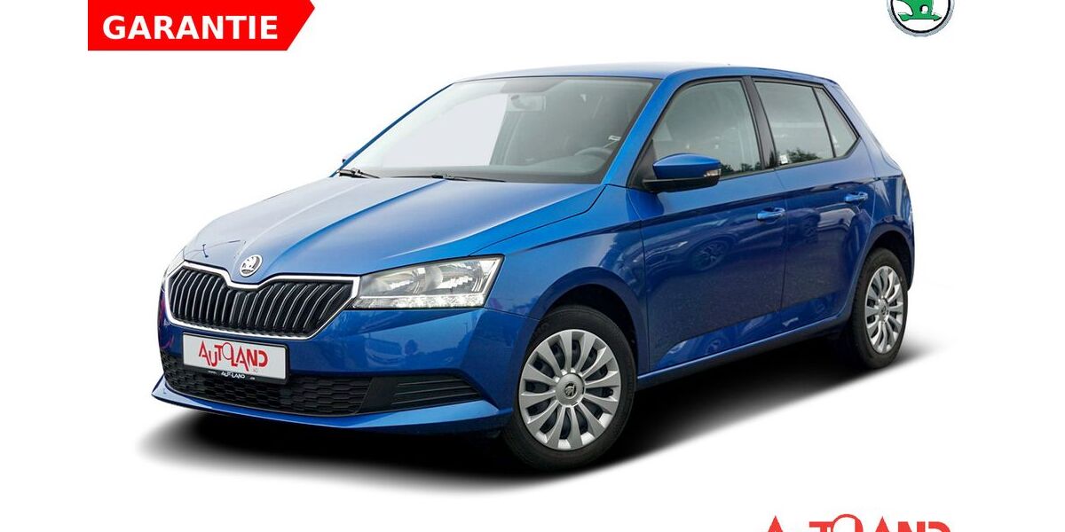 Skoda Fabia 58.496 km 13.490 &euro; Schwerin 19061