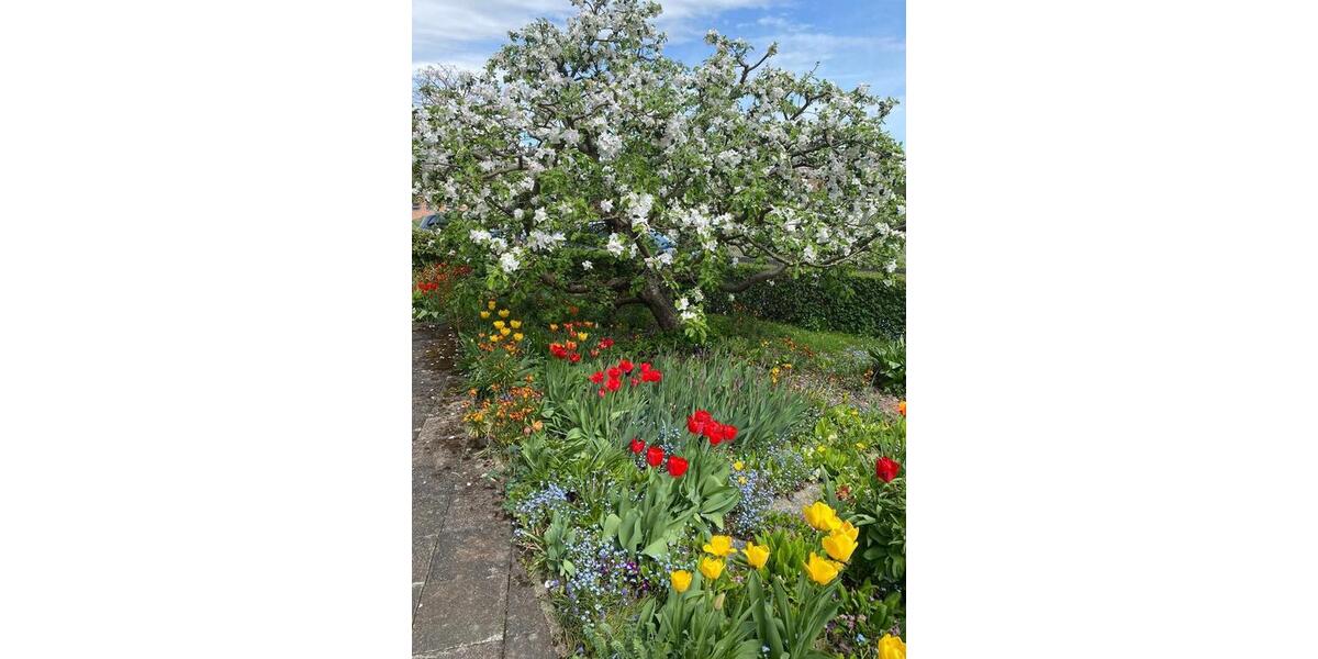 Einfamilienhaus Marburg Marbach - 7 Zimmer, 187 m&sup2;, 675.000&euro; | Angebot:26210752