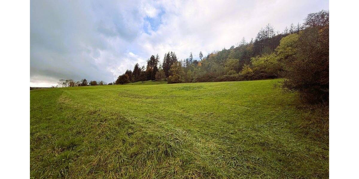 Grundstück Weißenburg Oberhochstatt Oberhochstatt - 14.878&euro; | Angebot:25664490